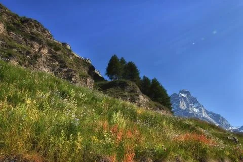 The Matterhorn. Stock Photos