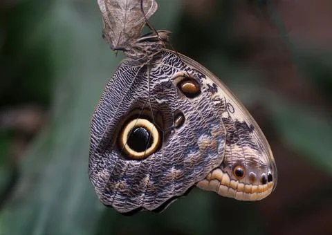 Matthias Brix Stock Photos