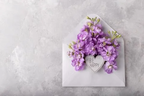 Mattiola flowers in an envelope Stock Photos