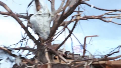 Mattress in Tree by Tornado - Moving shot from vehicle 스톡 동영상 45363463