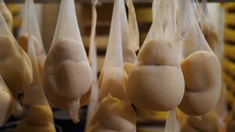 Maturation cheese in mesh, nets on racks in a cheese factory warehouse close-up Stock Footage 269122479