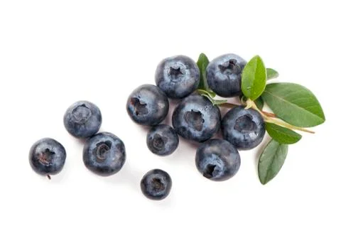 Mature bilberry Stock Photos
