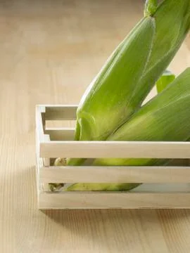 Mature corn 스톡 사진