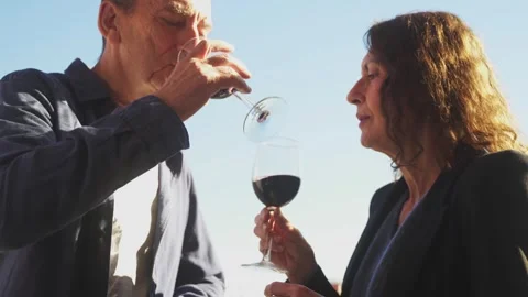 Mature couple on date drinking and toasting with red wine Stock Footage 261329014
