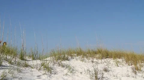 Mature Couple On Dune Video stock 8672366
