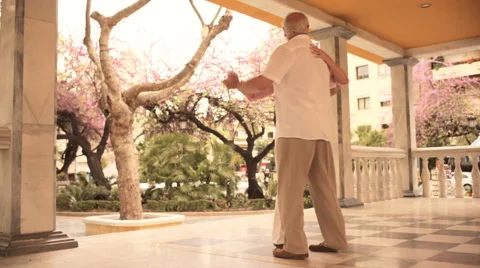 Mature couple in park dancing Stock Footage 43609924