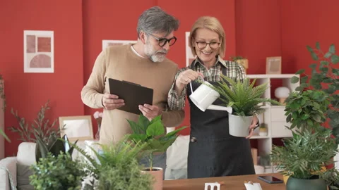 Mature couple take care of plants follow instructions from clipboard Stock-Footage 303991853