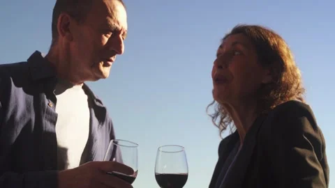 Mature couple talking and drinking wine on date on rooftop Stock Footage 261329007