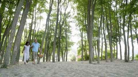 Mature couple walking through trees on beach. Stock Footage 88022906