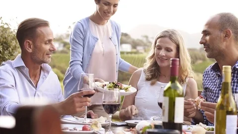 Mature couples eating outdoors Stock Footage