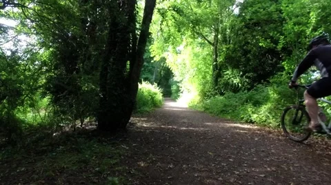 Mature cyclists on a tree lined country path Stock Footage 65488248