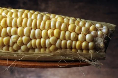 Mature ear of maize with irregular rows of kernels Stock Photos