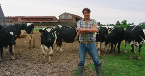 Mature farmer having fun to dance on dairy farm with his cows on background Stock Footage 141292936