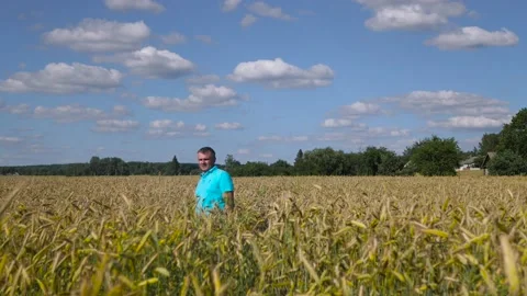 Mature farmer walking down the wheat field touching wheat ears with hands - Video stock 135982236