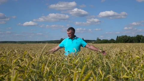 Mature farmer walking down the wheat field touching wheat ears with hands - Video stock 135982606