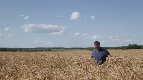 Mature farmer walking down the wheat field touching wheat ears with hands - Stock-Footage 135982768