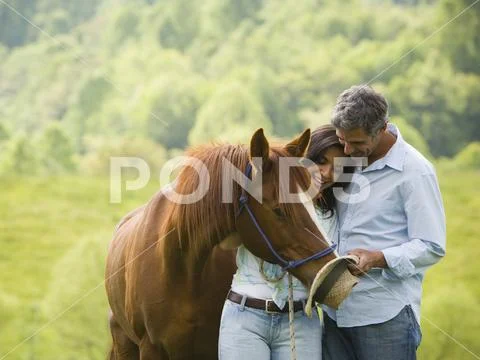 Mature man and a woman with a horse Stock Photos
