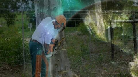 Mature man engaging chainsaw and cutting stump in arborist work, nebula overlay Stock Footage 332504967
