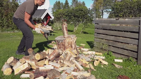 Mature Man failed when tried to chop long birch log with large metal axe Stock Footage 139591359