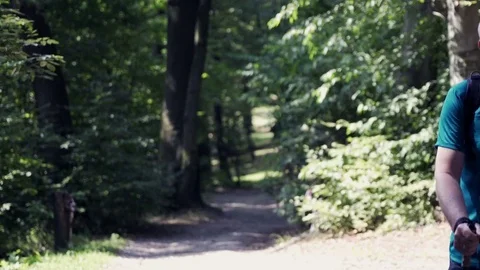 Mature man hiking in forest Stock Footage