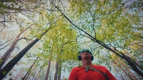 Mature man hiking, looking up at forest canopy, mindfulness in nature 4k. 스톡 동영상 334090776