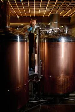 Mature man inspector checking craft beer at brewery Stock Photos
