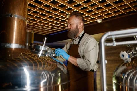 Mature man inspector checking craft beer at brewery Stock Photos