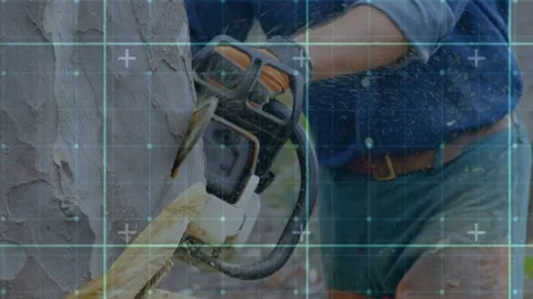 Mature man operating chainsaw, placing bar against branch, cutting for pruning, Stock Footage 333830390