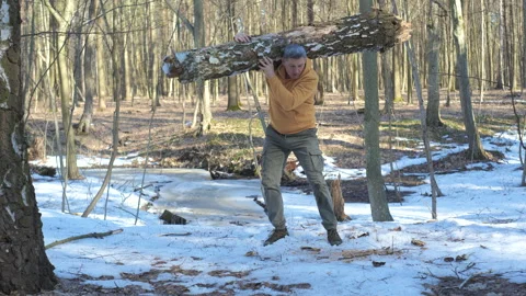 Mature man performing weighted squat exercise with log in spring forest Stock Footage 337028610