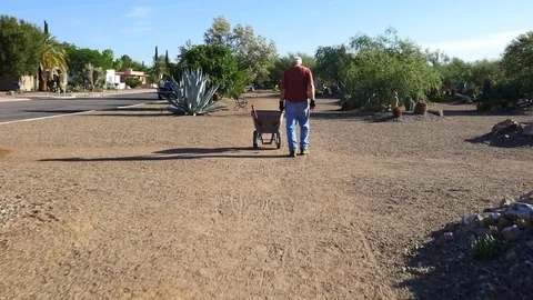 A mature man pushing a wheelbarrow in a cactus garden Stock Footage 79960141
