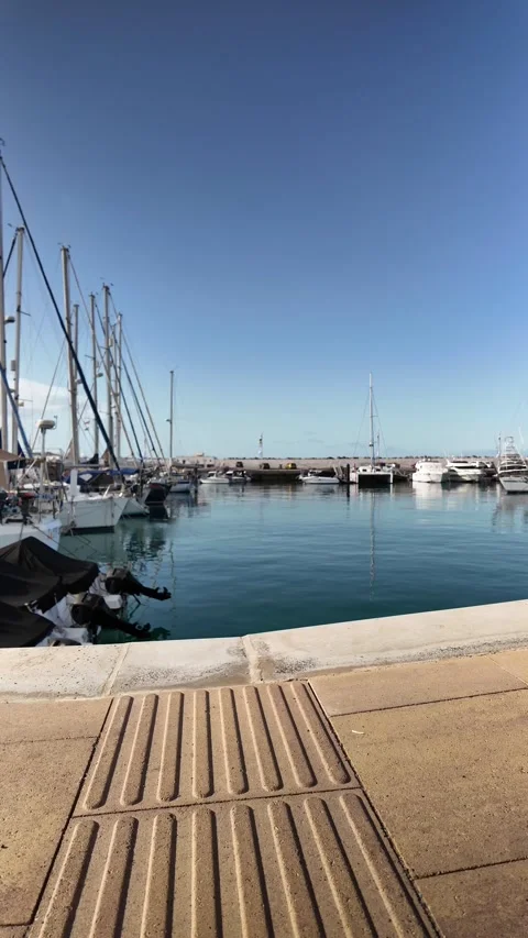 Mature man riding an e-bike along a sunny marina pier Stock Footage 344816270