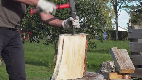 Mature man splitting big pine tree log with one steel wedge. Wedges used when Stock Footage 139591555