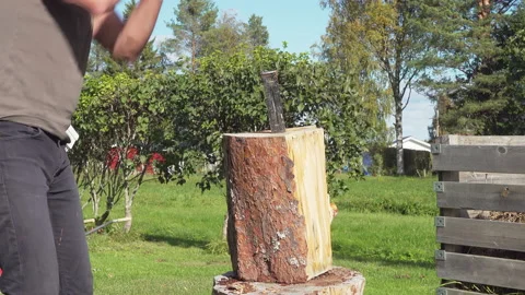 Mature man splitting big pine tree log with two steel wedges. Stock Footage 139591635