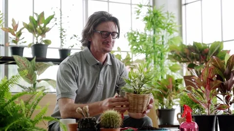 Mature man using digital tablet doing tree business Stock Footage 139248519