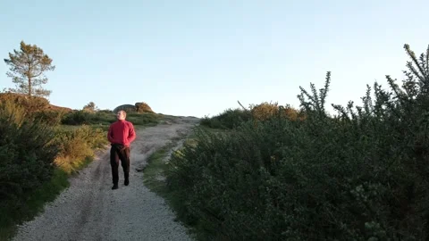 Mature man walking down a rural path at sunset Stock Footage 344531192