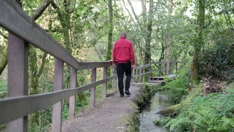 Mature man walking on a path in the forest Stock Footage 344531085