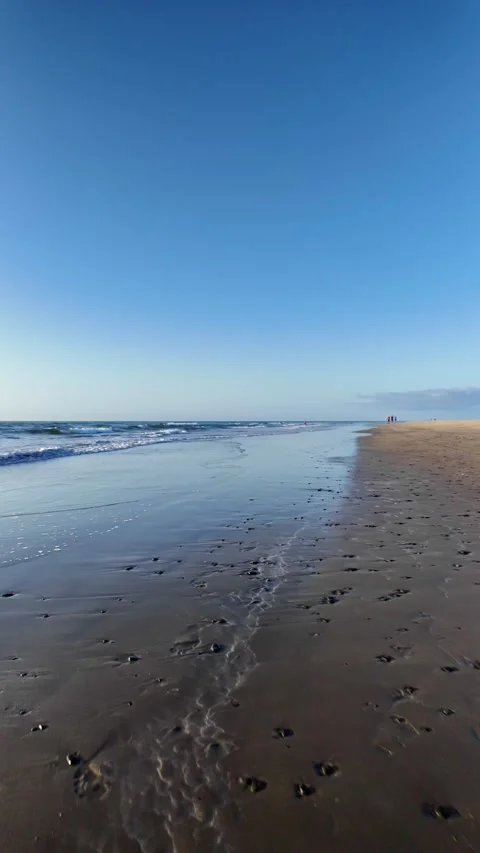 Mature man walking on a sandy beach for his wellbeing Stock Footage 345839084