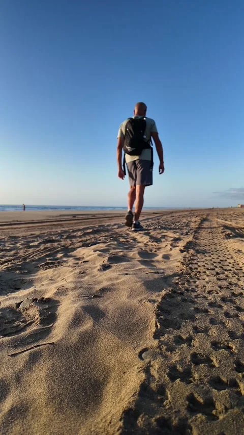 Mature man walking on a sandy beach at sunrise Stock Footage 345839199