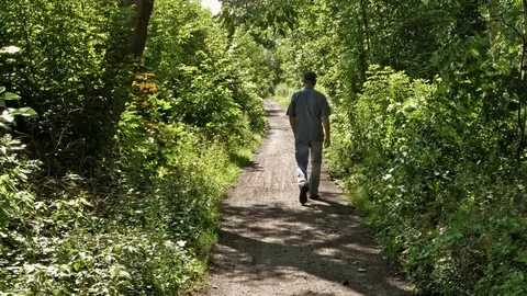Mature man walks down a forest path on a sunny day Stock Footage 77522333