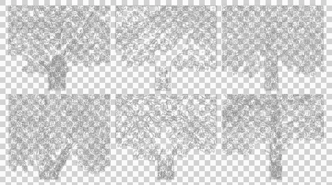 Mature maple tree line drawing elevation view cutout transparent Stock Illustration