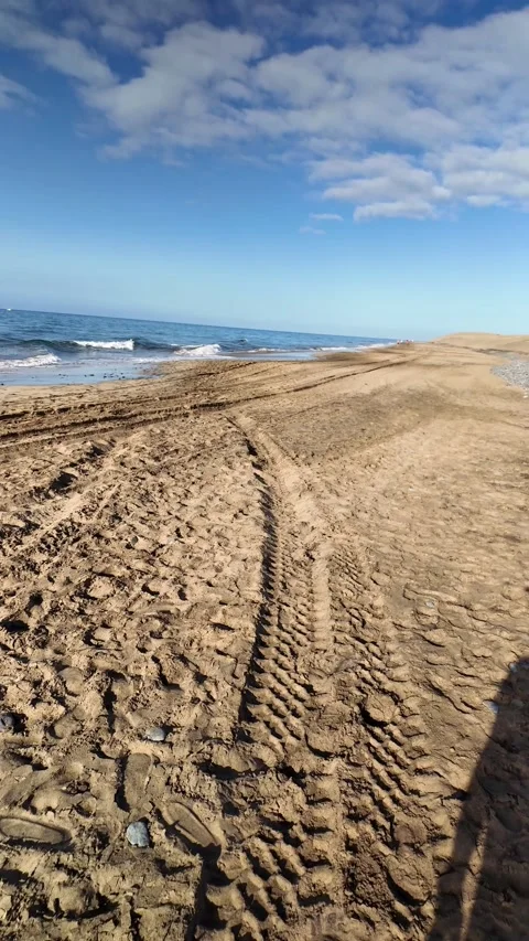 Mature person's shadow holding a selfie stick walking on a sandy beach Stock Footage 346177500
