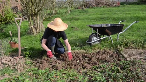 Mature woman gardening Stock Footage