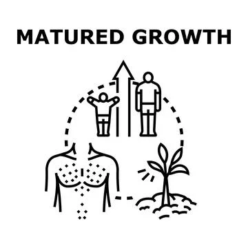 Matured growth process development and evolution concept Stock Illustration