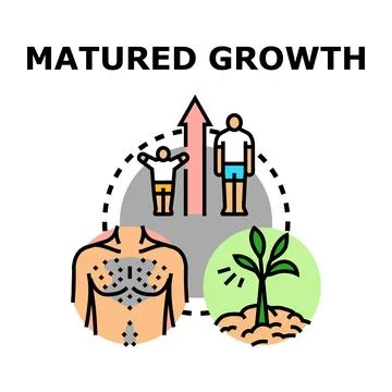 Matured growth process development and evolution concept Stock Illustration