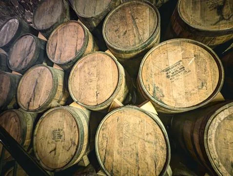Maturing Tequila in Oak Barrels Stock Photos