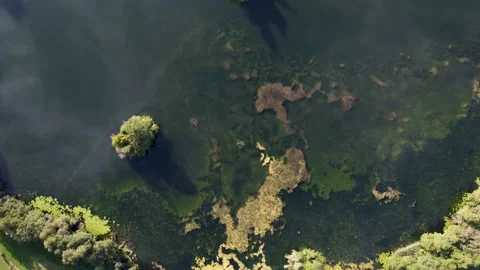 Mauensee from above Stock-Footage 205807877