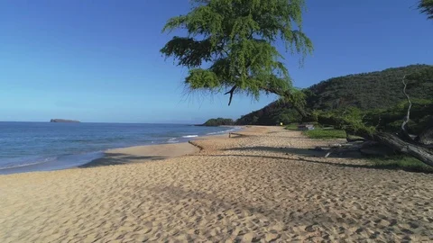 Maui Aerials 스톡 동영상 78655565