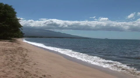 Maui Beach 動画素材 339669