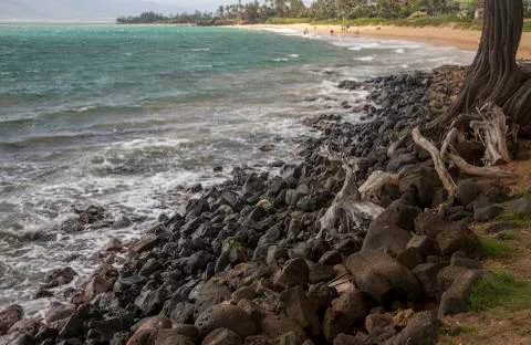 Maui Beach Stock Photos