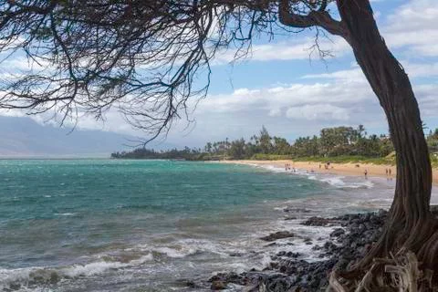 Maui Beach Stock Photos